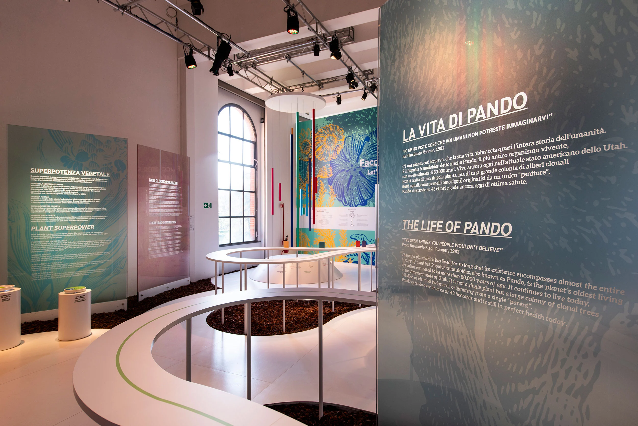 Sala della mostra con una panca bianca curva, pannelli di testo sulla vita delle piante e luci sulle americane – La Nazione delle Piante alla Triennale, Milano, Italia, 2019 – allestimento espositivo