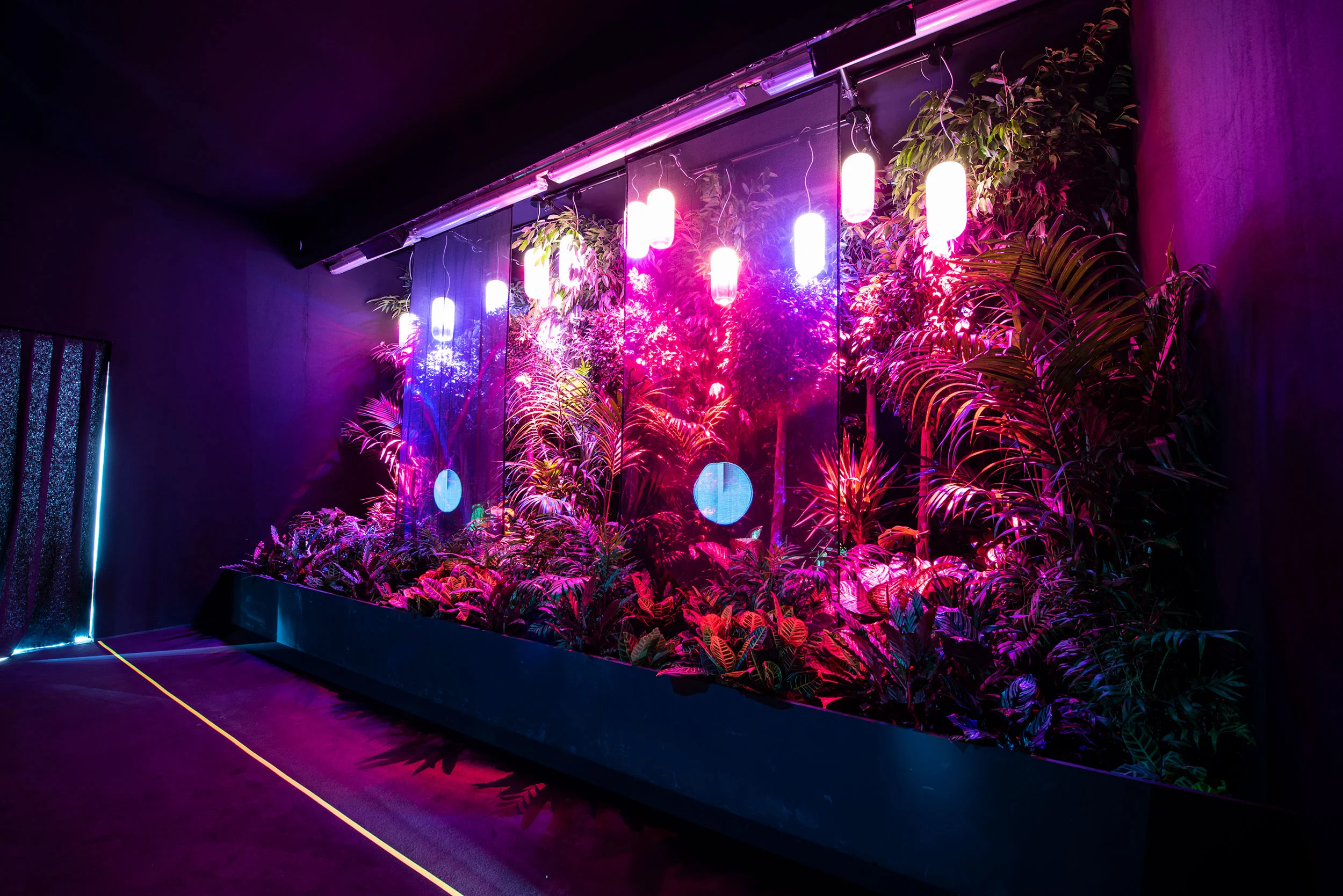 Sala buia con una lunga fioriera di piante tropicali illuminate di rosa e viola, con lampade sospese sopra – La Nazione delle Piante alla Triennale, Milano, Italia, 2019 – allestimento espositivo