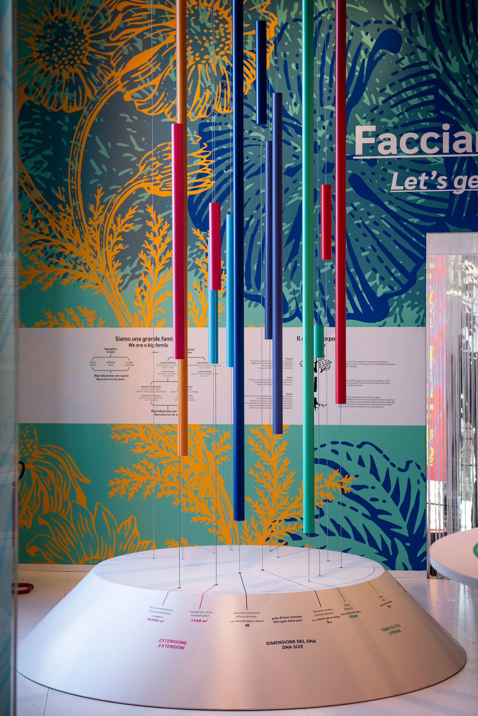 Tubi colorati sospesi sopra una base bianca rotonda, davanti a una parete con grandi illustrazioni di piante – La Nazione delle Piante alla Triennale, Milano, Italia, 2019 – allestimento espositivo