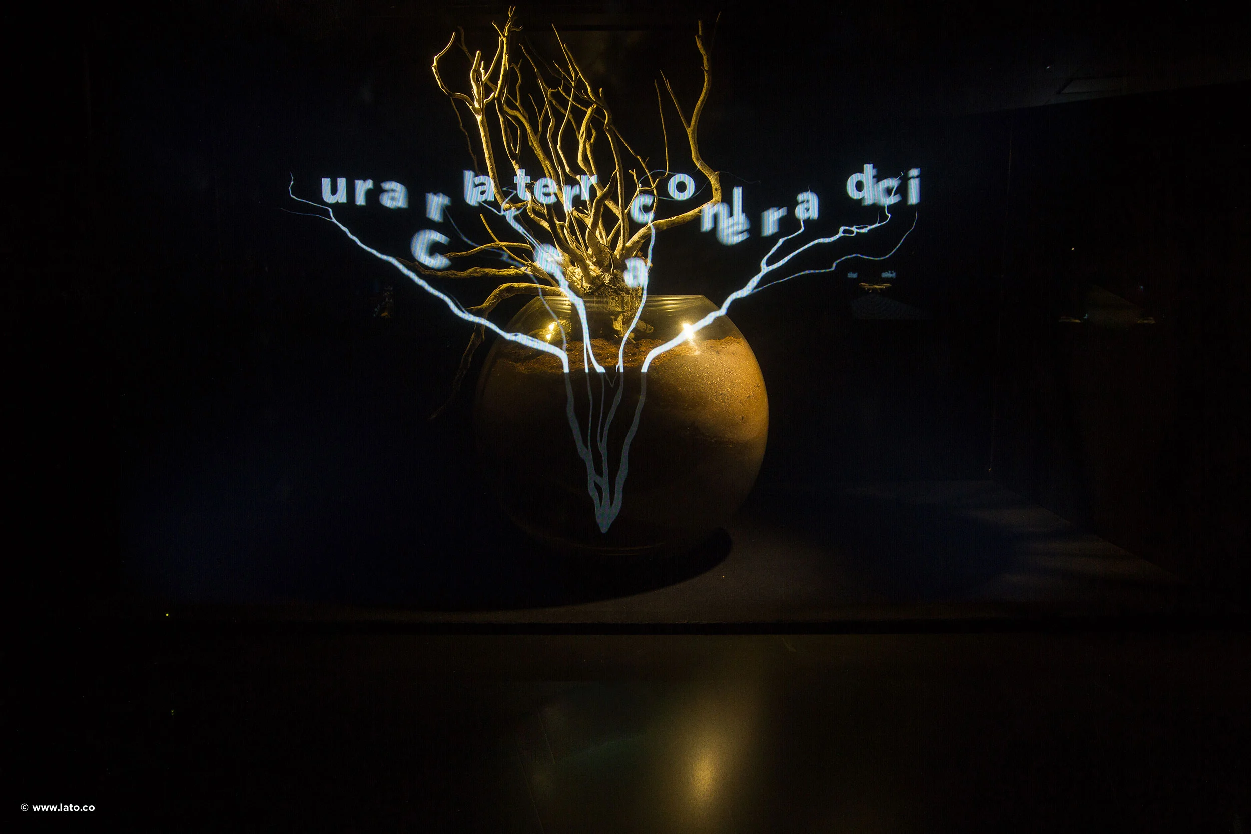 Vaso d'argilla con rami dorati e righe di testo e radici di luce proiettate su sfondo nero – Padiglione Italia all'Expo 2015, Milano, Italia – allestimento espositivo