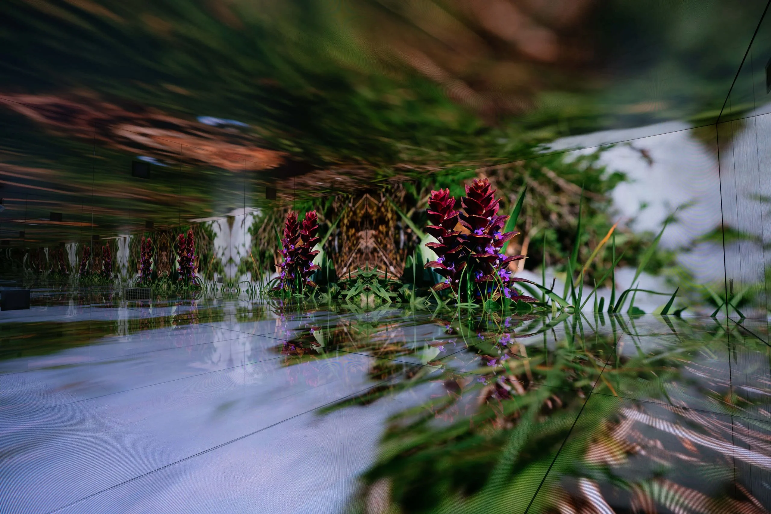Dettaglio di un prato alpino con fiori viola ed erba sugli schermi LED, moltiplicato dagli specchi – Mont Blanc Infinity Room allo Skyway, Courmayeur, Italia, 2023 – progettazione di installazioni