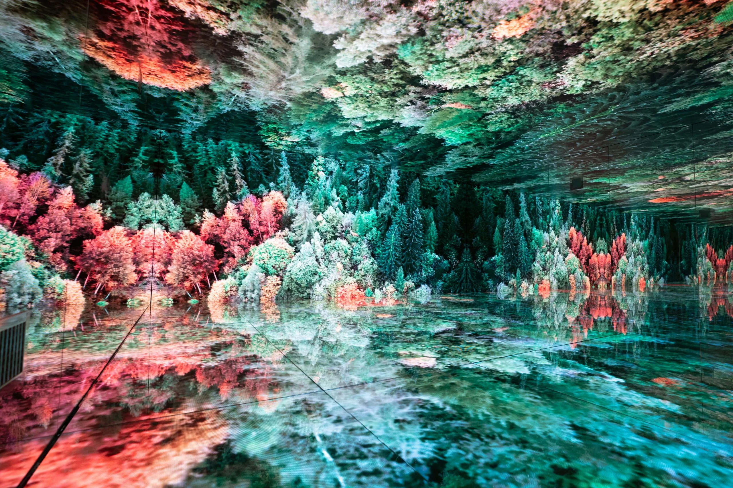 Stanza a specchi piena di un bosco autunnale di alberi rossi e verdi mostrato sulle pareti LED – Mont Blanc Infinity Room allo Skyway, Courmayeur, Italia, 2023 – progettazione di installazioni