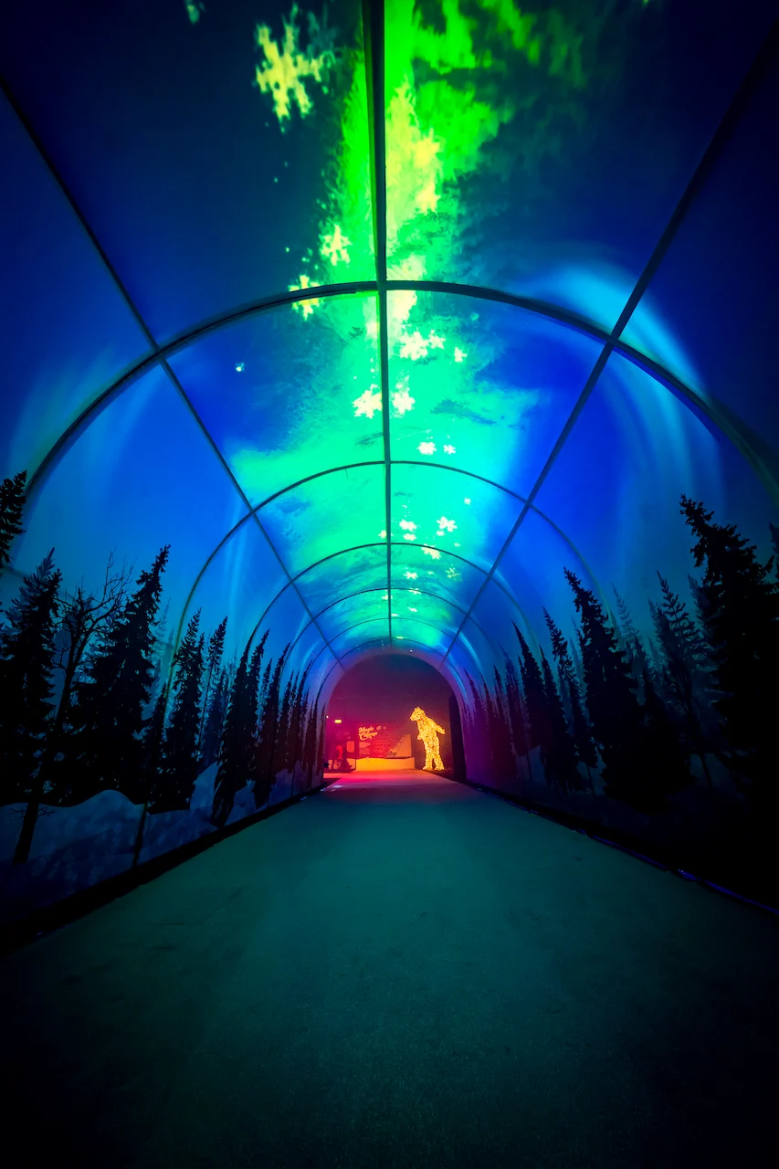 Tunnel ad arco con fiocchi di neve e aurora boreale proiettati su una foresta di sagome di pini – A Christmas Magic all'Allianz MiCo, Milano, Italia, 2023 – progettazione di eventi