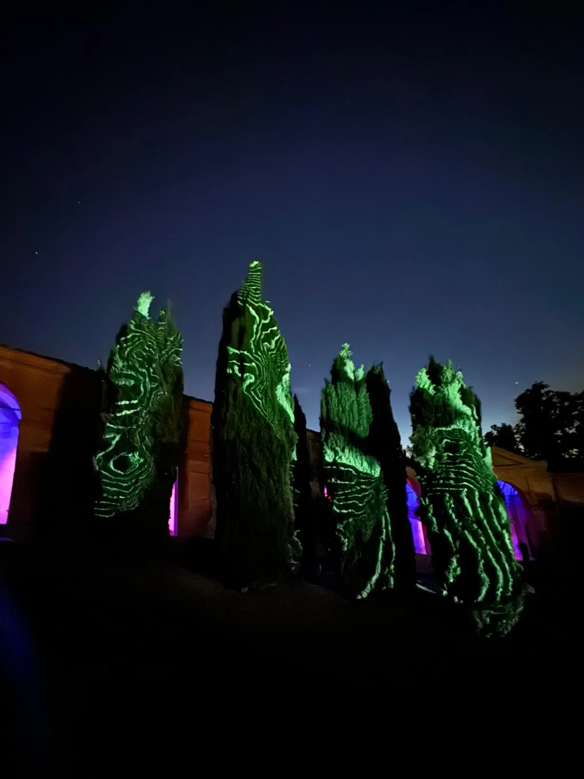 Filare di cipressi di notte illuminati da motivi ondulati verdi proiettati, contro un cielo blu scuro – Cesare Cremonini Festival dei Portici, Bologna, Italia, 2024 – progettazione di eventi