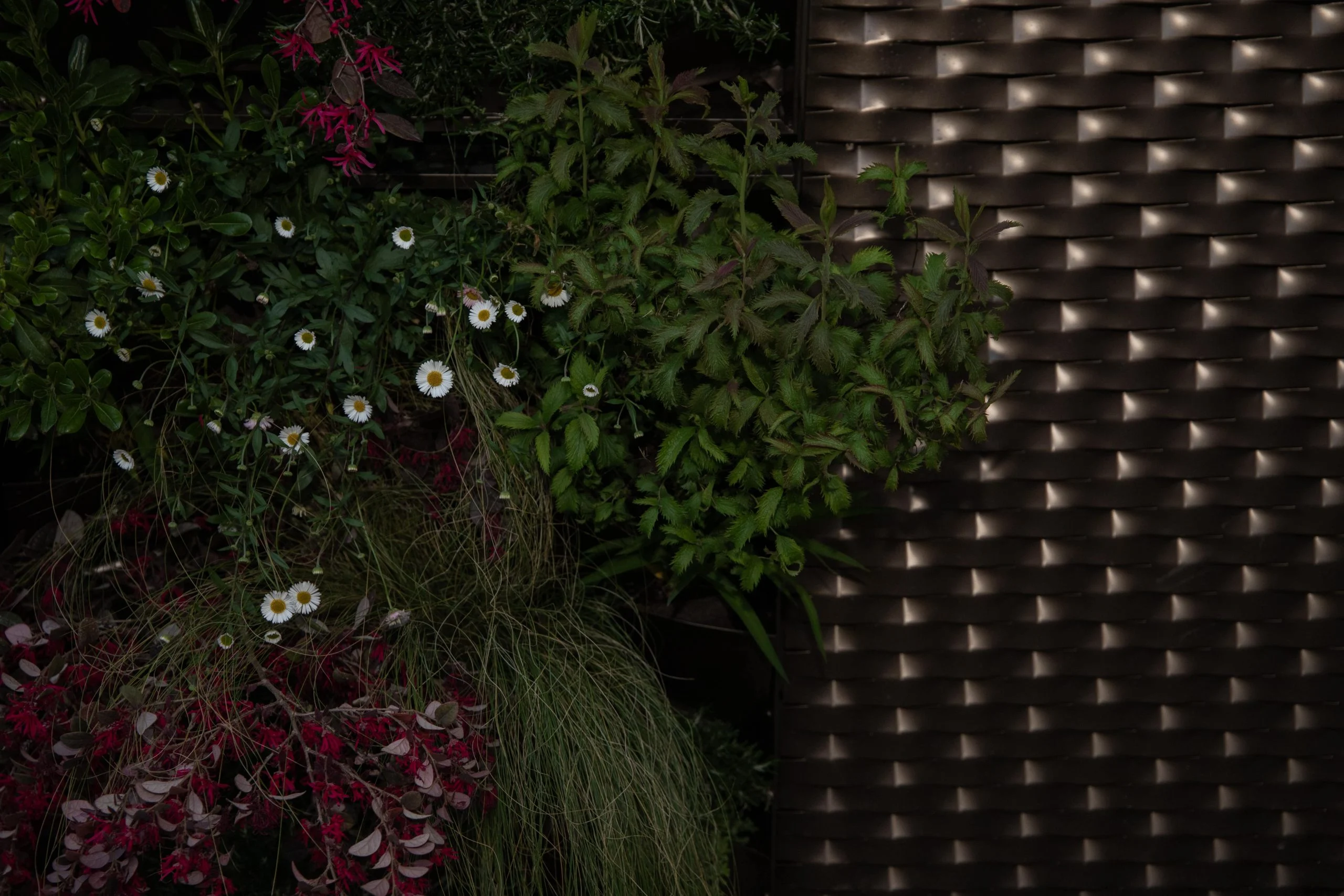 Piante fiorite accanto a un pannello in rete metallica scura intrecciata illuminato di notte – Everything Is a Party al Fuorisalone, Milano, Italia, 2025 – progettazione di eventi