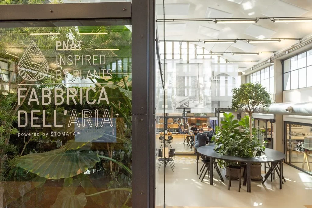 Porta in vetro della Fabbrica dell'Aria con piante all'interno, aperta su una sala luminosa con tavoli e un albero – La Marzocco Accademia del Caffè Espresso, Firenze, Italia, 2018 – interior design