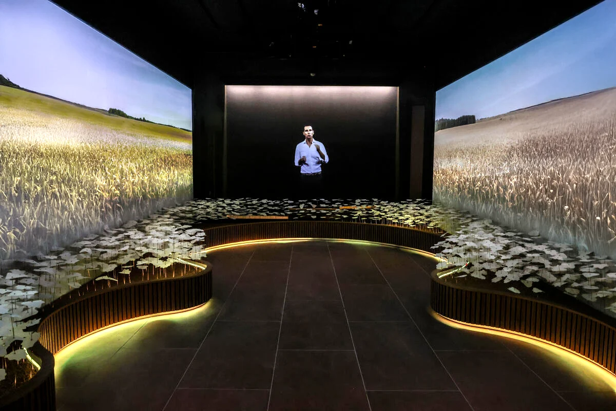 Sala immersiva con campi di grano proiettati su entrambe le pareti laterali e una figura su uno schermo in fondo – FAO MuNe Museo dell'alimentazione e dell'agricoltura, Roma, Italia, 2025 – allestimento espositivo