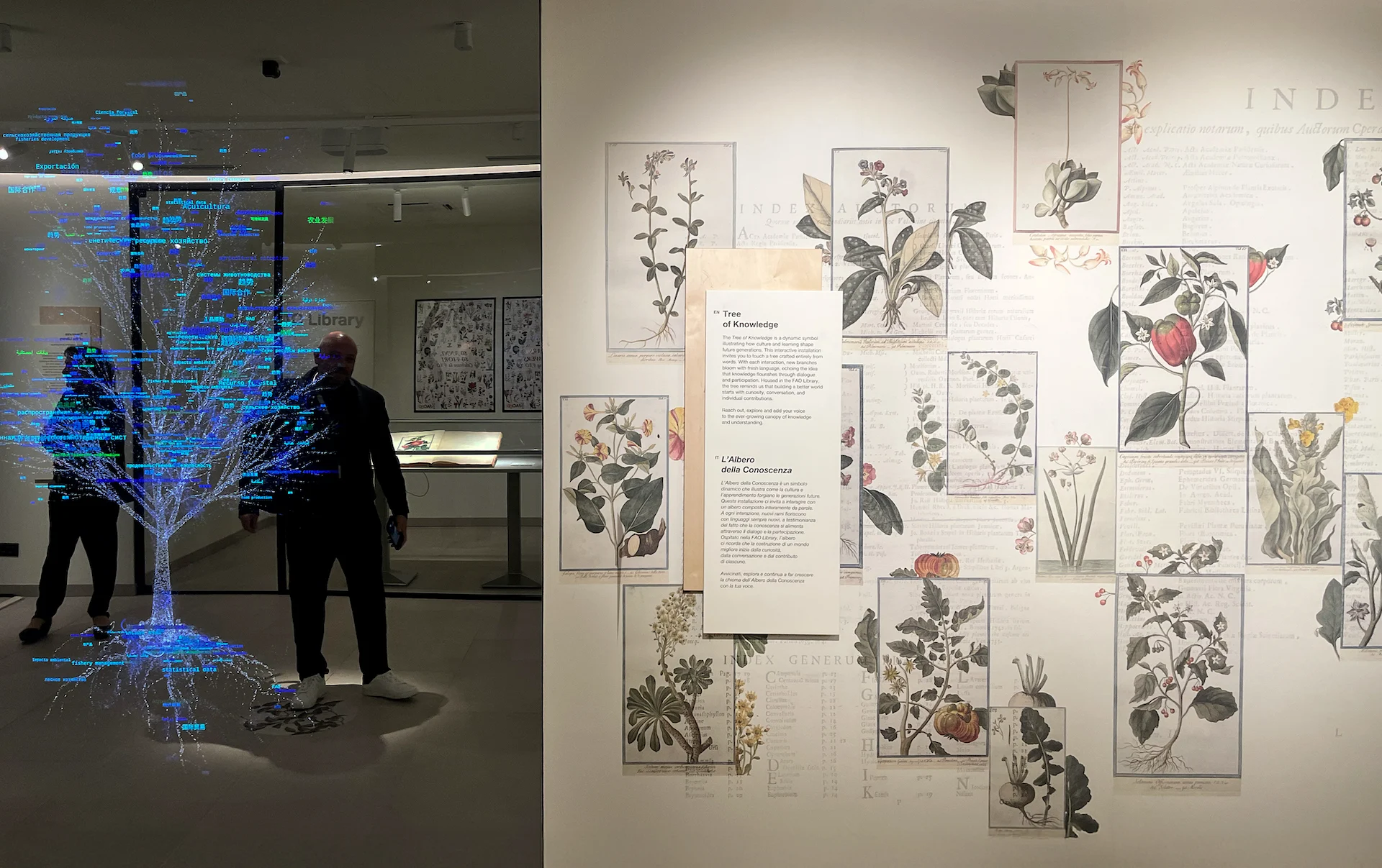 Albero digitale di luce accanto a una parete di illustrazioni botaniche e a un pannello Tree of Knowledge – FAO MuNe Museo dell'alimentazione e dell'agricoltura, Roma, Italia, 2025 – allestimento espositivo
