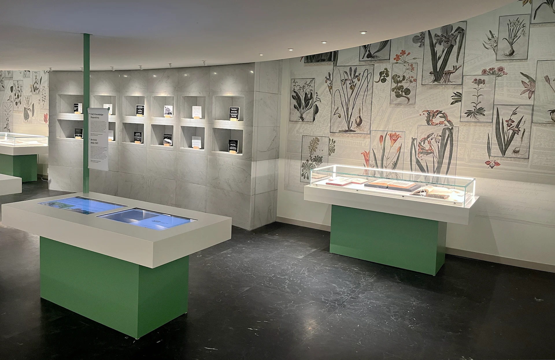 Galleria con stampe botaniche su pareti curve, vetrine verdi e schermi da tavolo illuminati – FAO MuNe Museo dell'alimentazione e dell'agricoltura, Roma, Italia, 2025 – allestimento espositivo